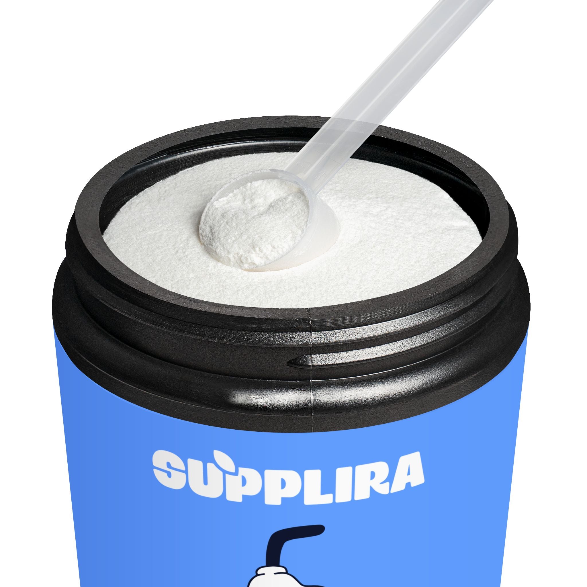 BCAA Supplement, Grape (325g, 11.46oz, 50 servings)